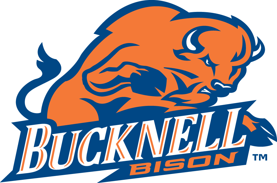 Bucknell Bison logos iron-ons